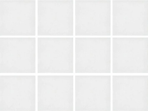 Ege Alaska Beyaz Mat Fileli Yer Duvar Seramiği - 10x10